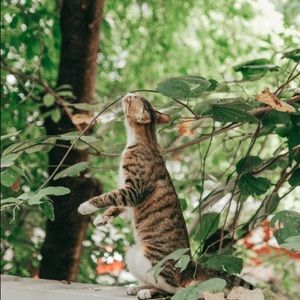 Meet your Posher, Yuki